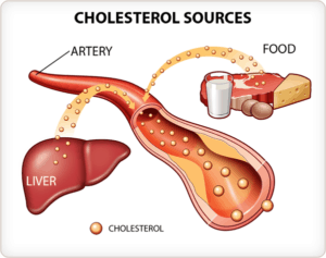 Healthy Cholesterol Levels By Age Chart Canada