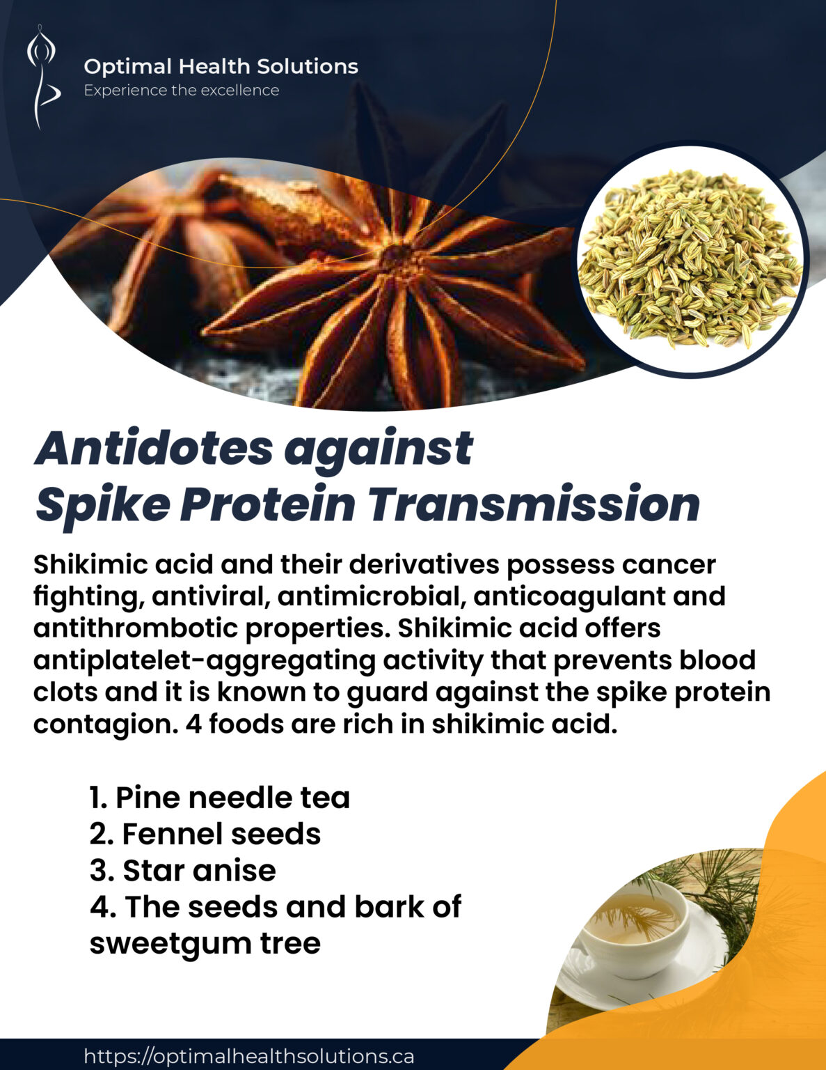 How to Shield from Spike Protein Shedding Optimal Health Solutions