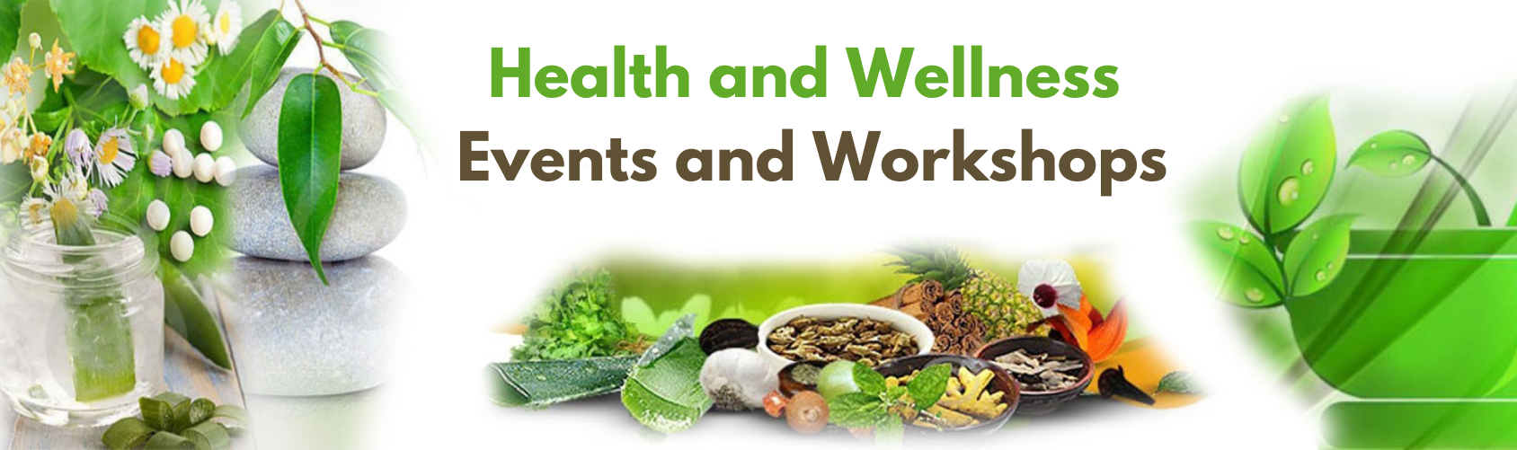 Health and welness Events and workshops 2024