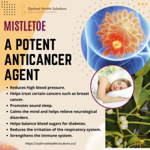 Mistletoe - A Potent Anticancer Agent